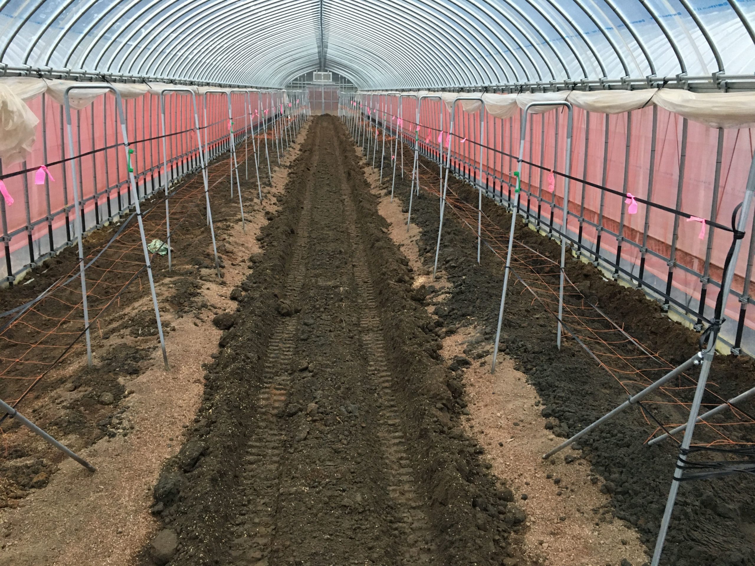 定植後の土壌改良で増収する方法 / アスパラガス栽培 | 農業応援サイト ISHIZUE